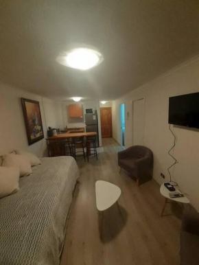 Departamento con piscina,quincho y estac., Pucón